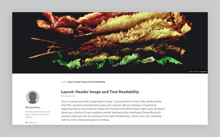 single layout header image example